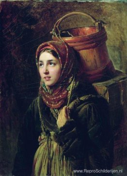 Haring Schotel Haring Schotel