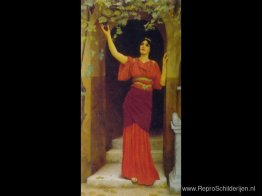 Jong meisje dat druiven plukt Jong meisje dat druiven plukt