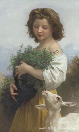 Kleine Esmeralda Kleine Esmeralda
