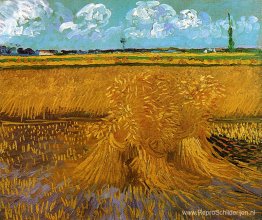 Korenveld met schoven Korenveld met schoven