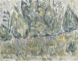 Landschap Landschap