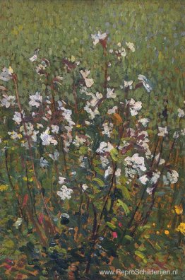 Witte bloemen in het veld Witte bloemen in het veld