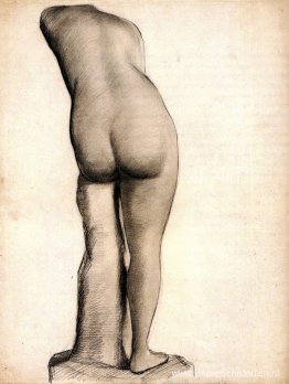 Venus Venus