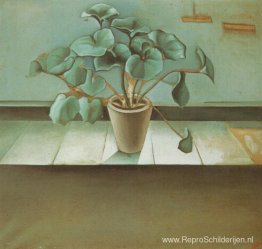 Plant Plant