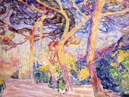 Onder de dennen Onder de dennen