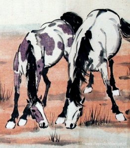 Twee paarden Twee paarden