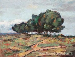 Brăneşti-landschap Brăneşti-landschap