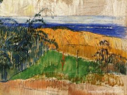 Uitzicht op het strand van Bellangenai Uitzicht op het strand van Bellangenai