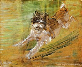 Springende hond Schlick Springende hond Schlick