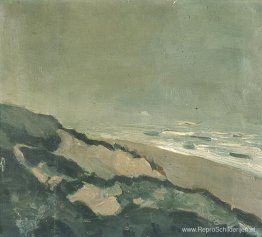 Duinen en zee Duinen en zee
