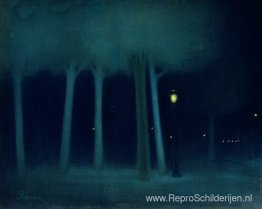 Een park bij nacht Een park bij nacht