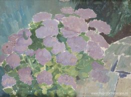 Hortensia's Hortensia's