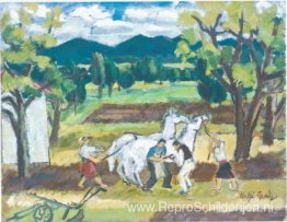 Hoefijzers Hoefijzers