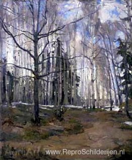 Berken bos Berken bos