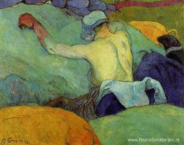 In de hitte (de varkens) In de hitte (de varkens)