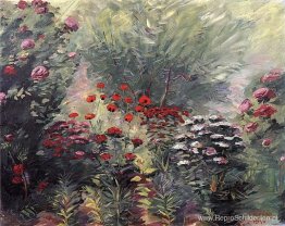 Bloemen. Een hoekje van de tuin. Bloemen. Een hoekje van de tuin.