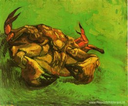 Krab op zijn rug Krab op zijn rug