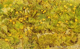 Een veld met gele bloemen Een veld met gele bloemen