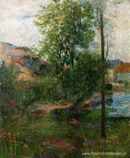 Wilg aan de Aven Wilg aan de Aven