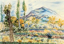 Fique-landschap Fique-landschap