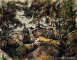 Rotsen bij Fountainebleau Rotsen bij Fountainebleau