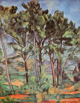 Pijnboom en aquaduct Pijnboom en aquaduct