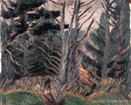 Dode bomen Dode bomen