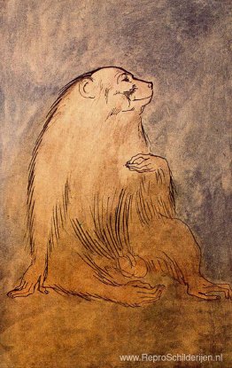 Zittende aap Zittende aap