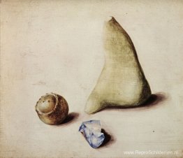 Pietra calcarea van Alpi Sveve (Burgfelden), een pezzo di vetro Pietra calcarea van Alpi Sveve (Burgfelden), een pezzo di vetro