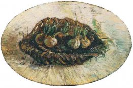 Mandje met ontkiemende bollen Mandje met ontkiemende bollen