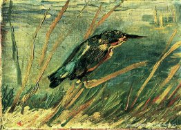 De ijsvogel De ijsvogel