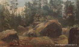 Rotsblokken in het bos Rotsblokken in het bos