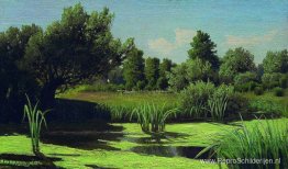 Het landschap. Het riet in de rivier. Het landschap. Het riet in de rivier.