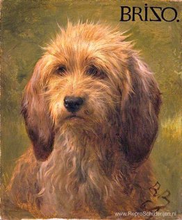 Brizo, een herdershond Brizo, een herdershond