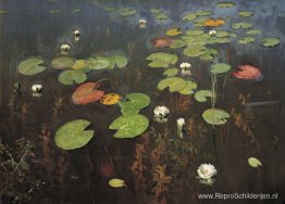 Waterlelies. Nenuphar. Waterlelies. Nenuphar.