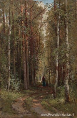 Boslandschap Boslandschap