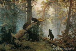 Ochtend in een dennenbos Ochtend in een dennenbos