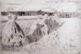 Veld met schoven Veld met schoven