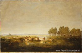 Moerasgebied in Les Landes Moerasgebied in Les Landes