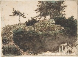 Landschap, Vichy Landschap, Vichy