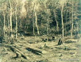 Boslandschap Boslandschap