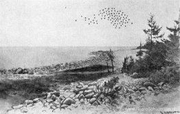 maagdelijk land maagdelijk land