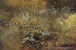 Gras Gras