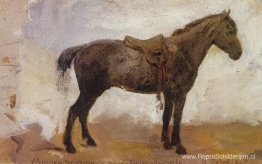 Paard Misjka Paard Misjka