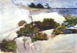 Maine-kliffen Maine-kliffen