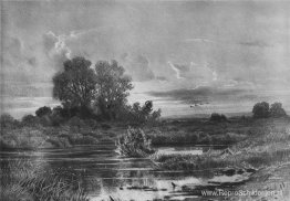 Overwoekerde vijver Overwoekerde vijver