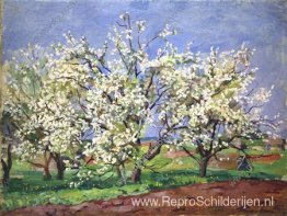 Appelbomen in bloei. Blauwe dag. Appelbomen in bloei. Blauwe dag.