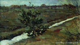 Vroege lente. Een jonge dennenboom. Vroege lente. Een jonge dennenboom.