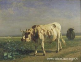 De witte stier De witte stier
