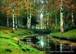 Rustige rivier Rustige rivier
